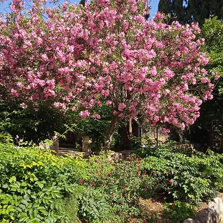 Alegria Near Portoheli