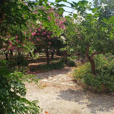 Alegria Near Portoheli Fourni (Argolis)