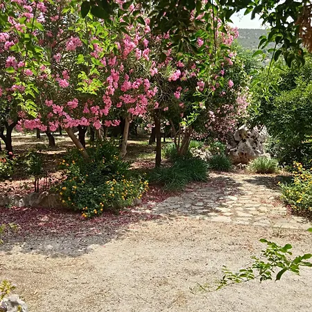 Alegria Near Portoheli * Fourni (Argolis)